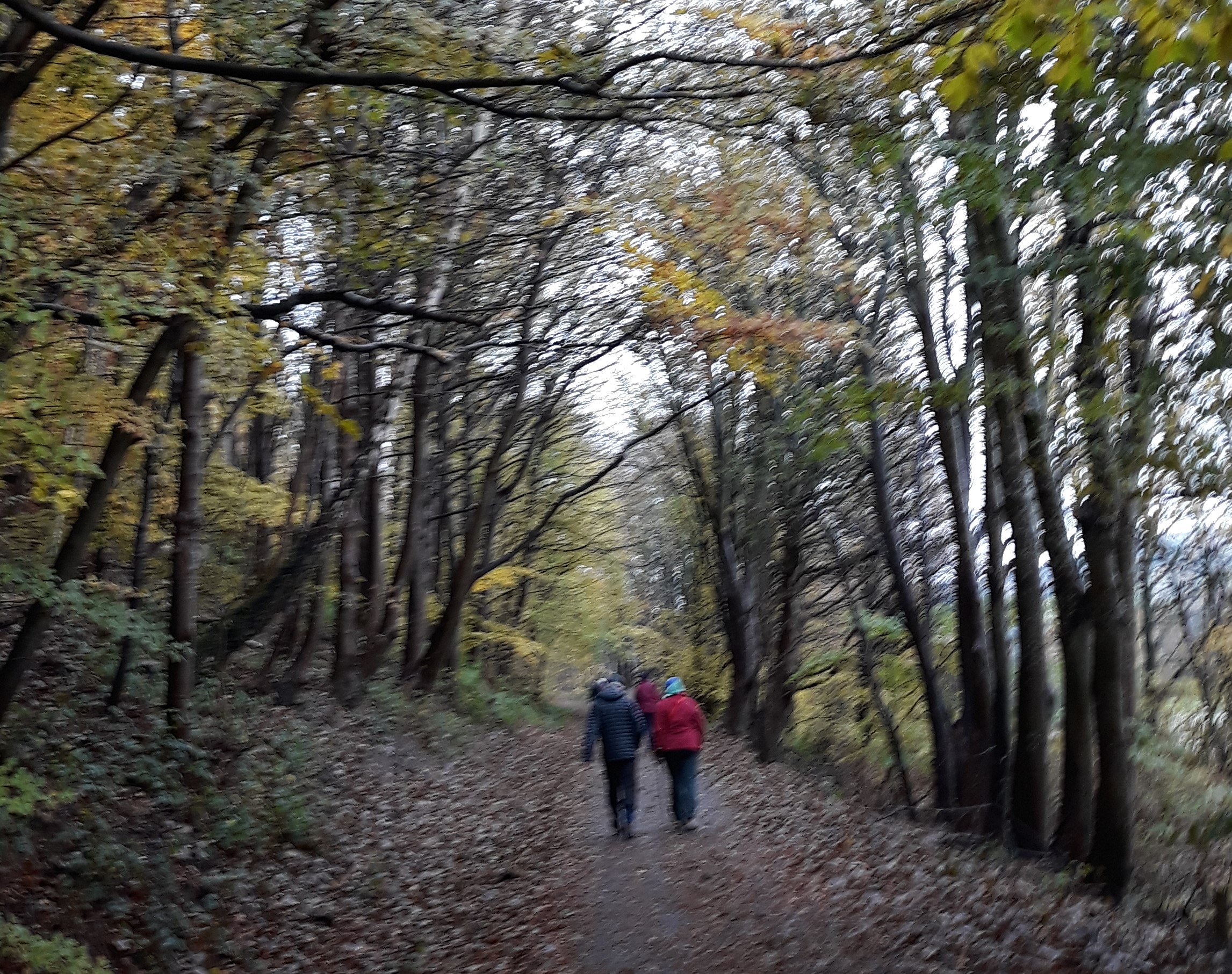 Peebles Strollers